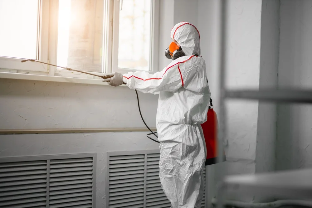 Professional mold remediation services in Brenham, TX